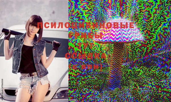 Альфа ПВП Карталы