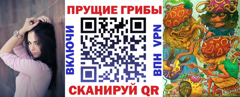 Псилоцибиновые грибы мицелий Новомичуринск