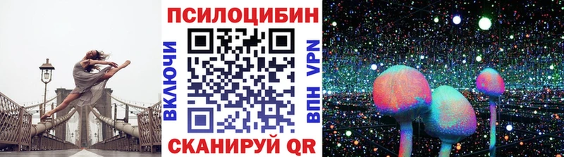 Псилоцибиновые грибы MAGIC MUSHROOMS  Купить закладки  Новомичуринск 